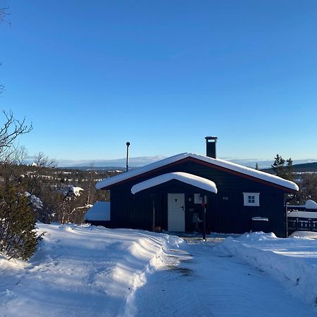 Cabin In The Mountain, Outstanding View & Solar Energy Vollen Екстериор снимка