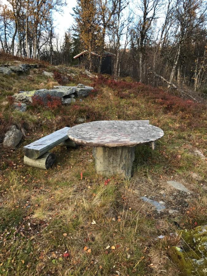 Cabin In The Mountain, Outstanding View & Solar Energy Vollen Екстериор снимка