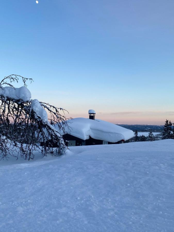 Cabin In The Mountain, Outstanding View & Solar Energy Vollen Екстериор снимка