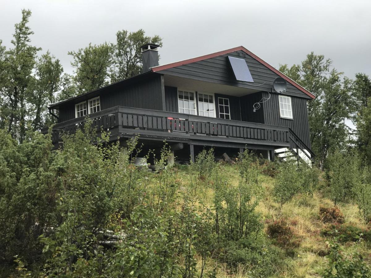 Cabin In The Mountain, Outstanding View & Solar Energy Vollen Екстериор снимка