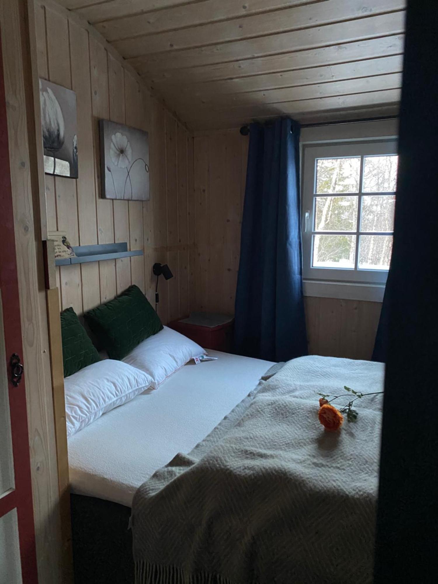 Cabin In The Mountain, Outstanding View & Solar Energy Vollen Екстериор снимка